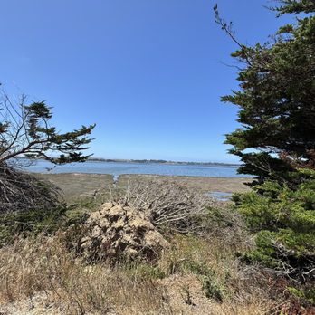 Bird Walk Coastal Access Trail - Parks Near Me - Bodega Bay, California Bird Walk Coastal Access Trail - Parks Near Me - Bodega Bay, California