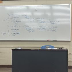 Queensborough Community College - Biology ;(