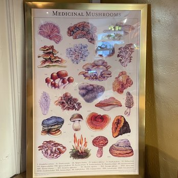 Plant Magic Cafe - Art decor - Cafes Near Me - Denver, Colorado