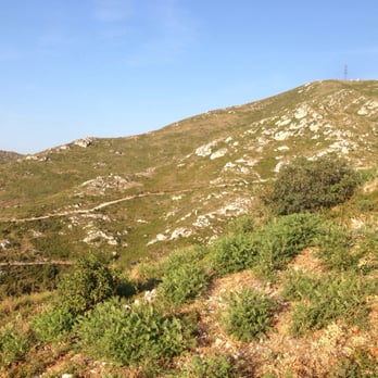Parc des Bruyères - Mardi 14 juillet 2015 depuis les hauteurs du quartier des 3 ponts .. - Parks Near Me - Marseille, 13 Parc des Bruyères - Mardi 14 juillet 2015 depuis les hauteurs du quartier des 3 ponts .. - Parks Near Me - Marseille, 13