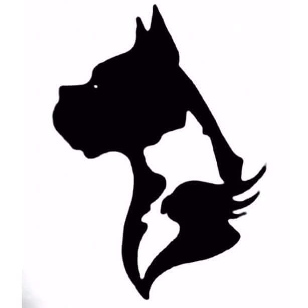 PAWSITIVE PLAY Mont Alto, Pennsylvania Pet Sitting Phone Number