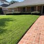 Photo of Clear Site Tree Service