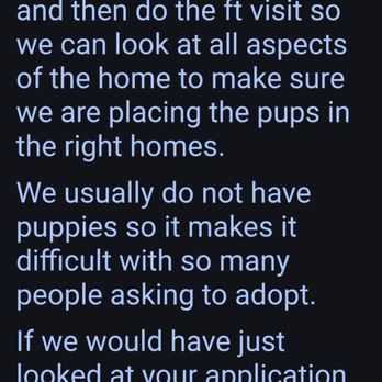 Retrievers and Friends - Pet Adoption Near Me
