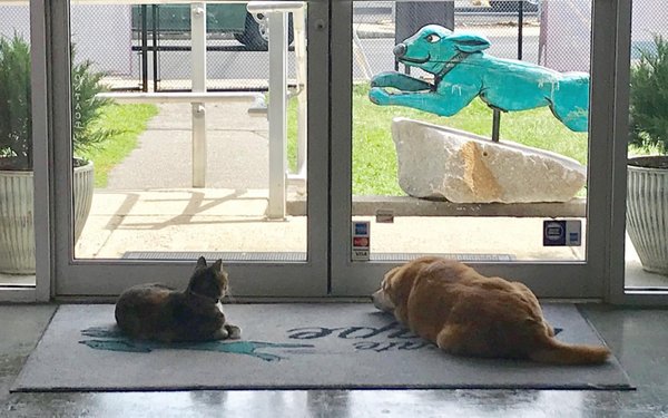 Crate Escape by null