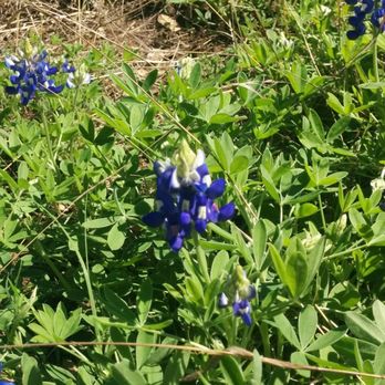 Stephenson Nature Preserve - Hiking Near Me - Austin, Texas Stephenson Nature Preserve - Hiking Near Me - Austin, Texas