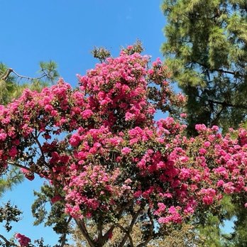 Conservation Park - Parks Near Me - Ontario, California Conservation Park - Parks Near Me - Ontario, California