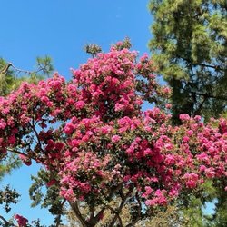 Conservation Park