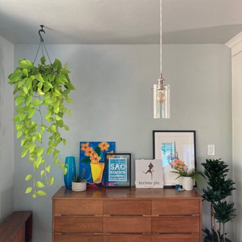 Propagate - Plant friend 2021. Growing and such a beautiful green color. - Venues & Event Spaces Near Me - Sacramento, California Propagate - Plant friend 2021. Growing and such a beautiful green color. - Venues & Event Spaces Near Me - Sacramento, California