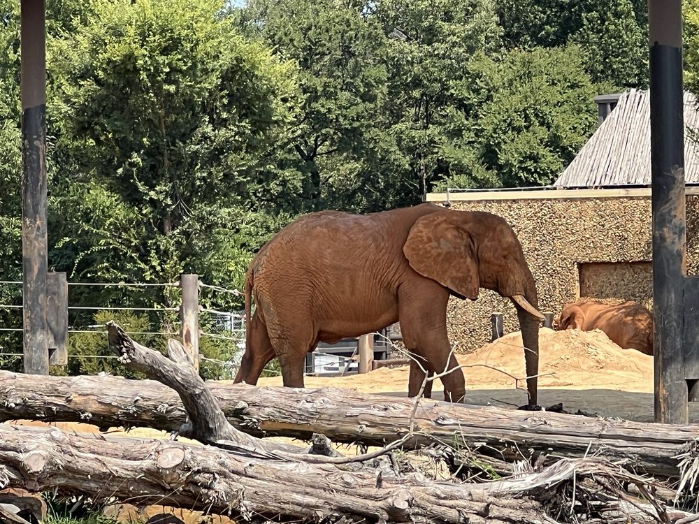 Social spots from Caldwell Zoo
