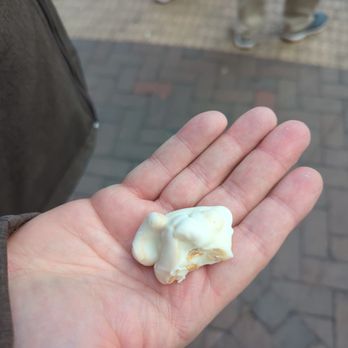 River Street Sweets - a hand holding a small piece of food - Desserts Near Me - Savannah, Georgia River Street Sweets - a hand holding a small piece of food - Desserts Near Me - Savannah, Georgia
