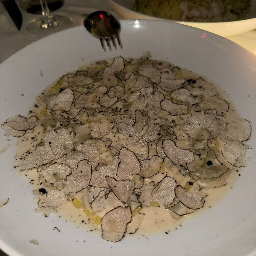 Mamo Miami - Raviolini Al Tartufo - Italian Near Me - Miami, Florida Mamo Miami - Raviolini Al Tartufo - Italian Near Me - Miami, Florida