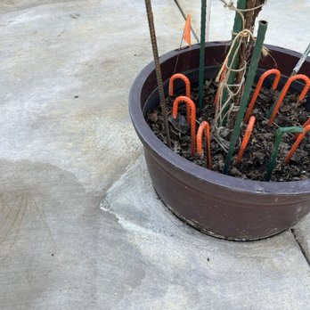 Pacific West Asphalt - This guy fixed the gap around the planter with different cement. He promised we will not see the repair! - Excavation Services Near Me Pacific West Asphalt - This guy fixed the gap around the planter with different cement. He promised we will not see the repair! - Excavation Services Near Me