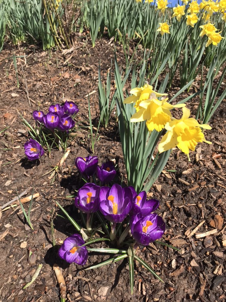 GARDEN THYME LANDSCAPING Swannanoa, NC Yelp