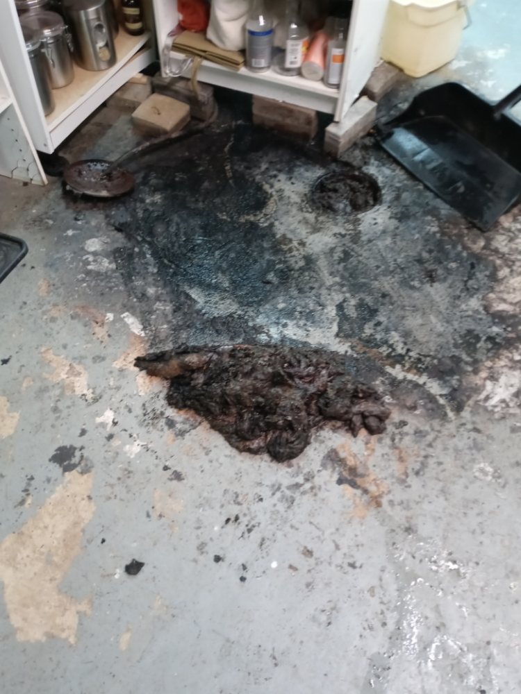 Slide of Professional Drain and Sewer Cleaning