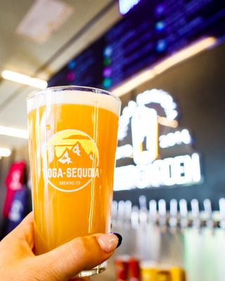 Tioga-Sequoia Beer Garden by null