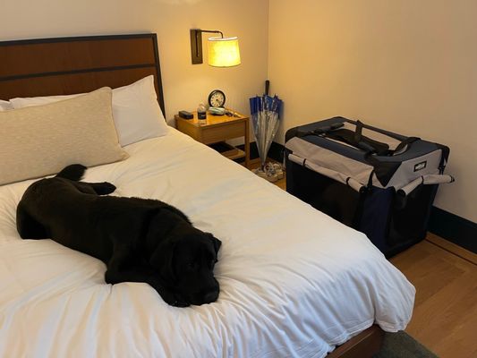 Shinola Hotel by null