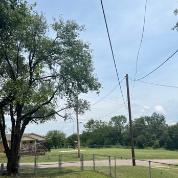 Wilkinson Tree Service - This is what the front yard looked like after the tree cutting work was done. Great job! - Tree Services Near Me Wilkinson Tree Service - This is what the front yard looked like after the tree cutting work was done. Great job! - Tree Services Near Me