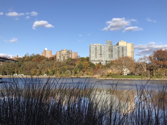 Inwood Hill Park by null
