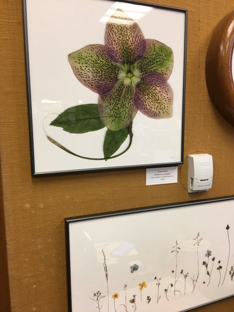 HELEN CROCKER RUSSELL LIBRARY 1199 9th Ave, San Francisco, California