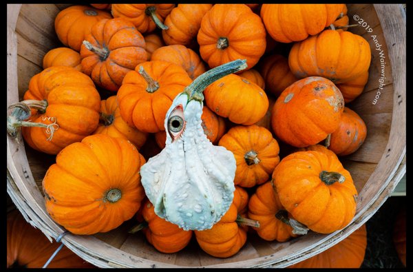 Hudson Farmers Market by null