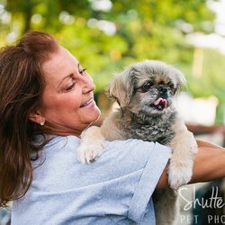 Shutter Hound Pet Photography