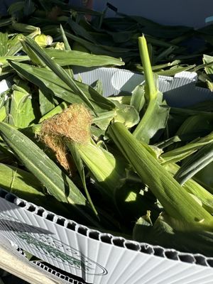 Tamarack Junction Farmers Market by null