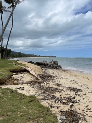 Punaluʻu Beach by null