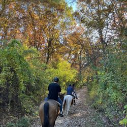 9 Acres - Trail in Cook County Forest Preserve