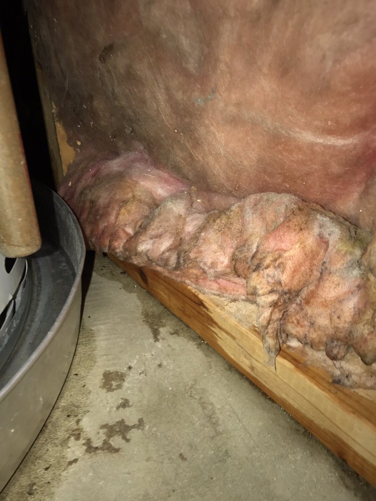 Slide of Bayless Plumbing Sewer & Drain