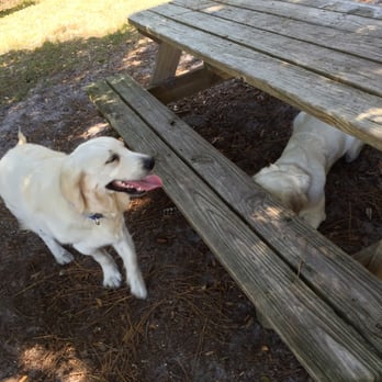 Dog Park - Dog Parks Near Me - New Smyrna Beach, Florida