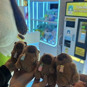 Wawa Claw - Capybara :) - Arcades Near Me - Torrance, California
