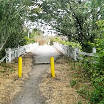 Año Nuevo State Park - Beaches Near Me - Pescadero, California