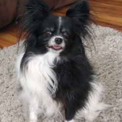 Aspen Grooming & Pet Supply