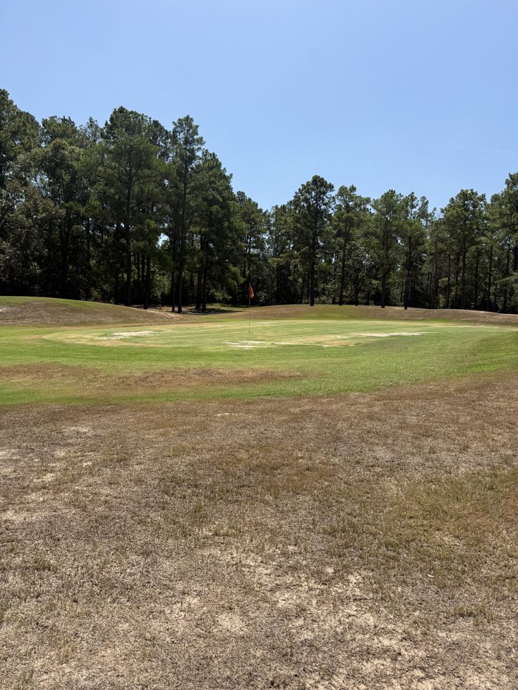 Neches Pines Golf Course Logo