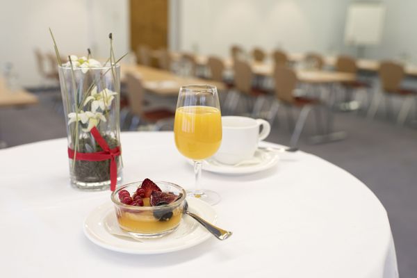 Mountain Plaza Hotel Davos by null