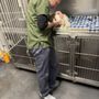 Photo of Mountain Pets Veterinary Clinic