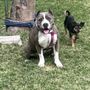 Photo of River Valley Veterinary Hospital
