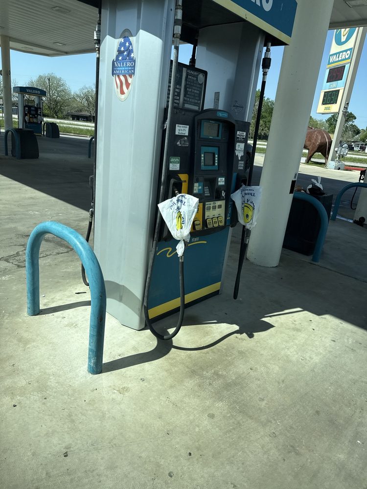 The Village Market - Photo 5