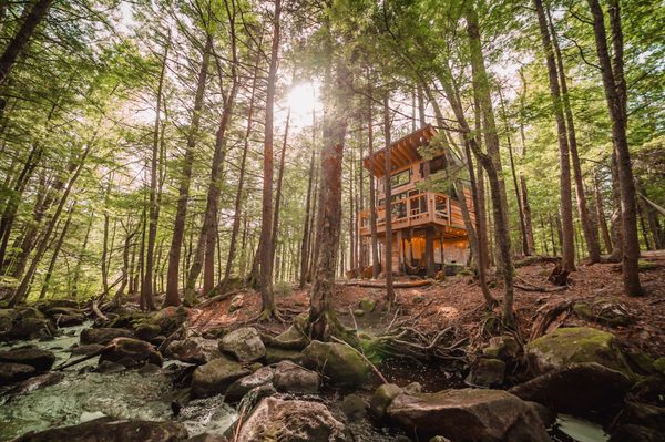 Stone City Treehouse by null