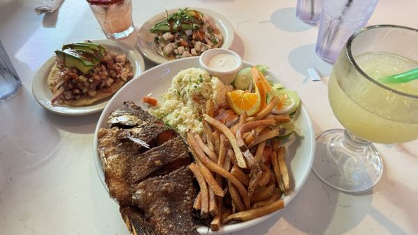La Seareinita by null