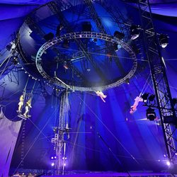 Circus Flora - Trapeze!