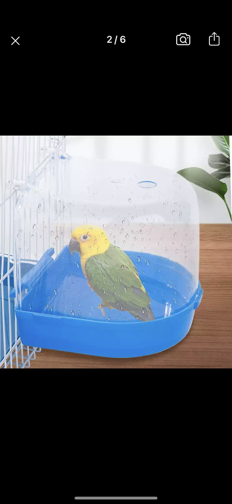Chyna’s World Pet Store