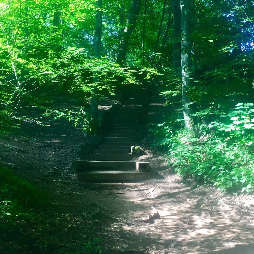 Wadsworth Falls State Park - Hiking Near Me - Middletown, Connecticut