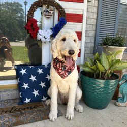 Bubbles & Bow - lea mae