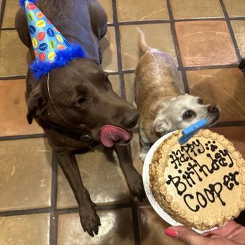 Three Dog Bakery Encino - Peanut butter cake for my big guy. - Pet Stores Near Me - Los Angeles, California Three Dog Bakery Encino - Peanut butter cake for my big guy. - Pet Stores Near Me - Los Angeles, California