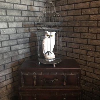 Bad Owl Coffee - Hedwig!!! - Coffee & Tea Near Me - Henderson, Nevada Bad Owl Coffee - Hedwig!!! - Coffee & Tea Near Me - Henderson, Nevada