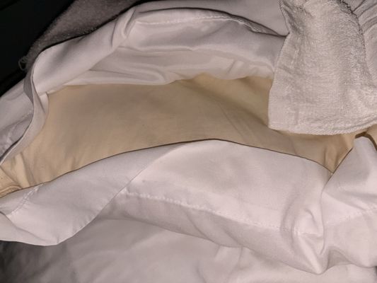 My Hawai‘i Hostel by null