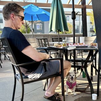 Marczyk Fine Burger - Dog friendly patio. - Burgers Near Me - Denver, Colorado Marczyk Fine Burger - Dog friendly patio. - Burgers Near Me - Denver, Colorado