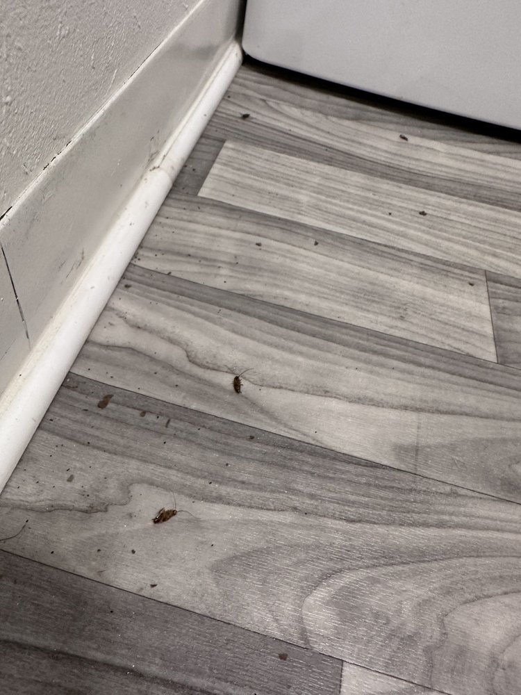 MONTROSE SQUARE APARTMENTS Updated April 2024 2315 Seville Ave