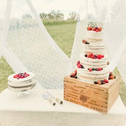Sift Cakery - Nearly naked wedding cake with fresh berries plus groom's cake